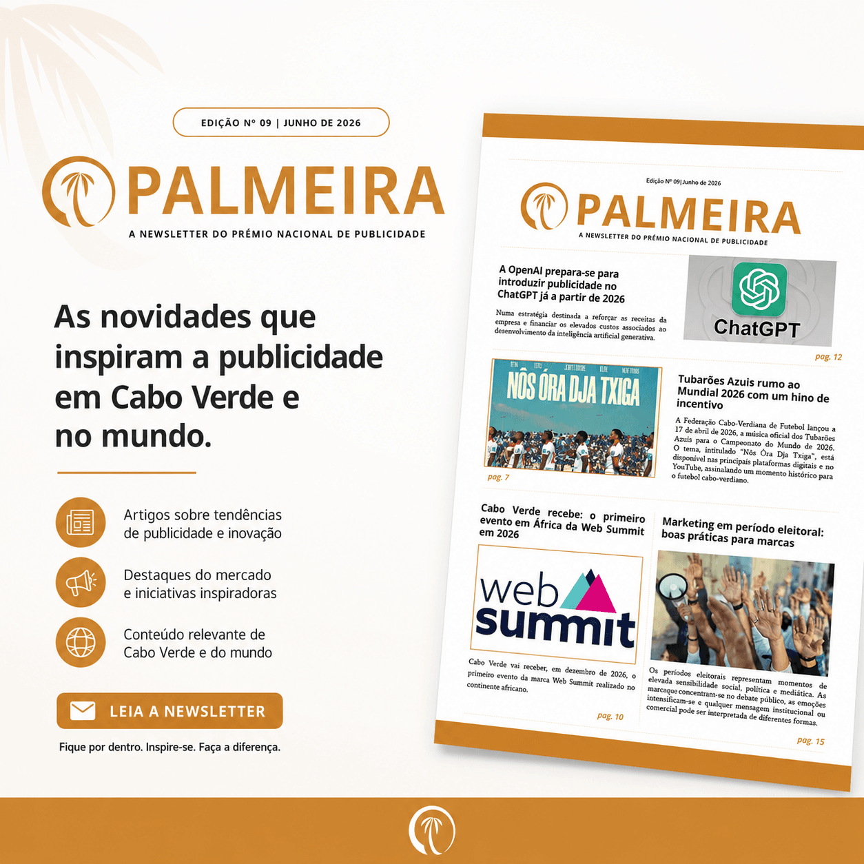 Newsletter Palmeira Edição 9