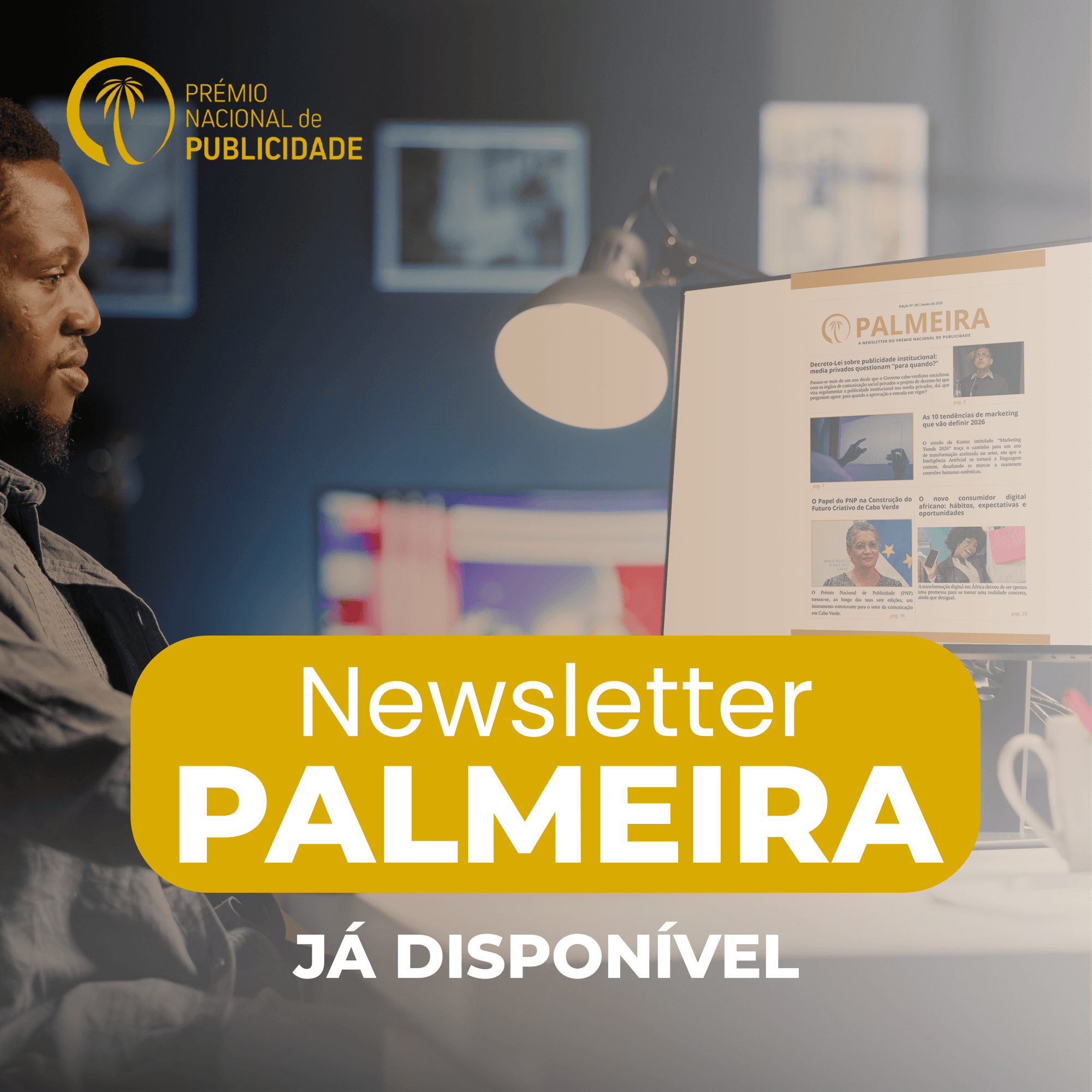 Newsletter Palmeira Edição 8